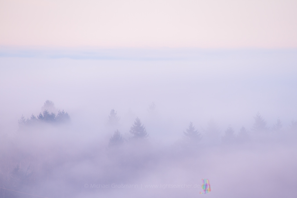 Nebel | 06.01.2020