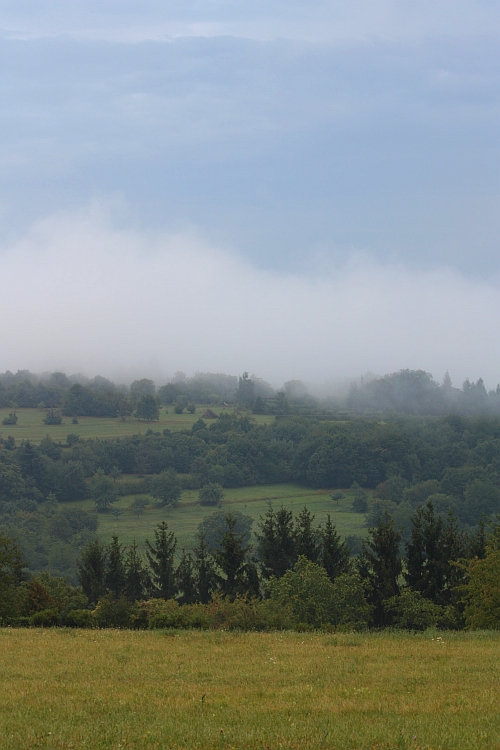 Nebel 24.08.2012
